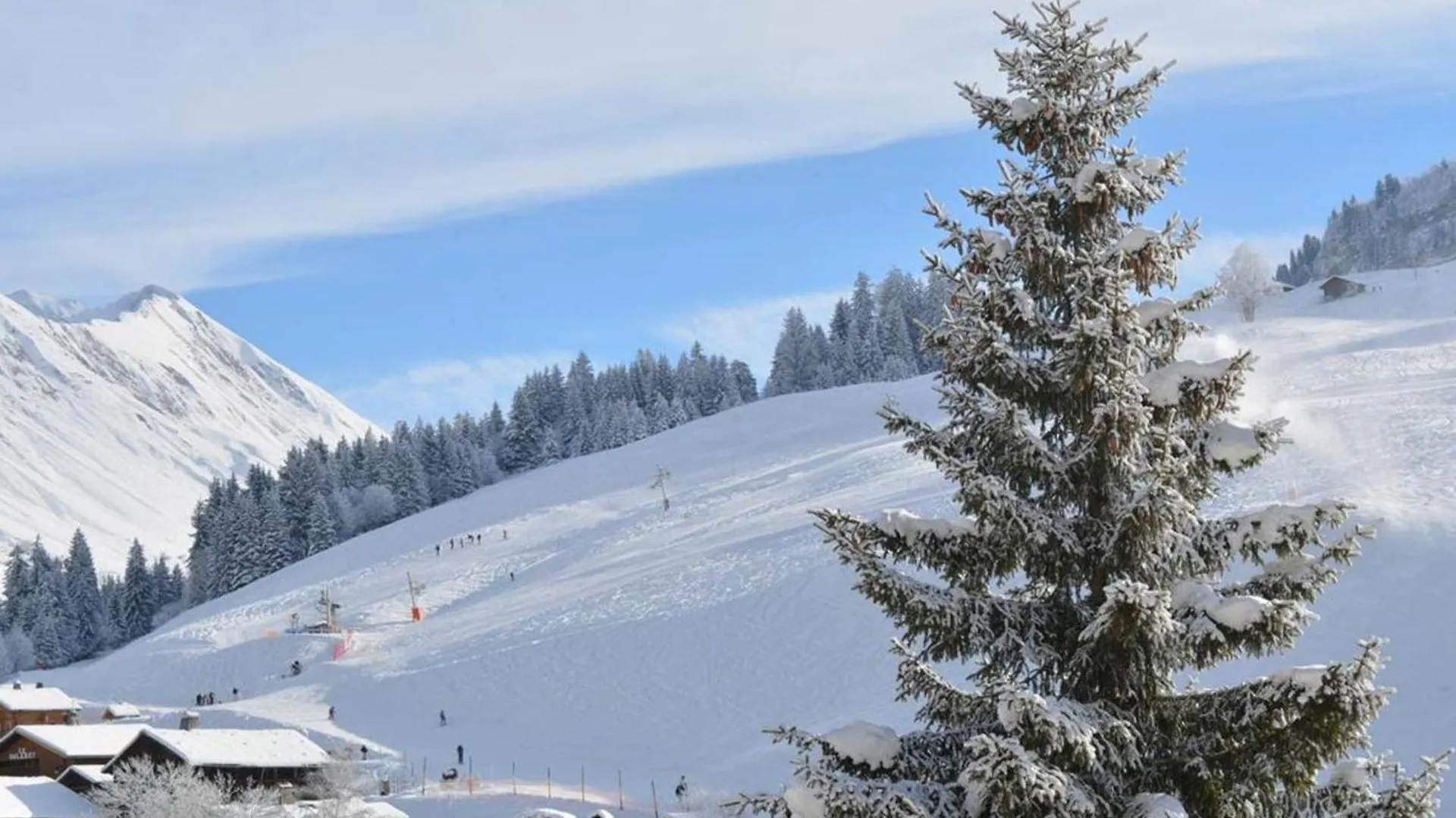 Studio Cosy 4 Pers, Au Centre, Pres Des Pistes - Fr-1-241-114 Le Grand-Bornand Lejlighed